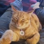 Profile photo of April